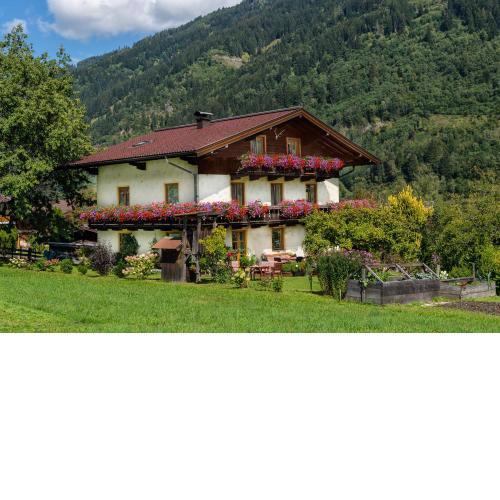 Haus Knapp nette 4er FeWo