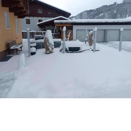 Haus Moser