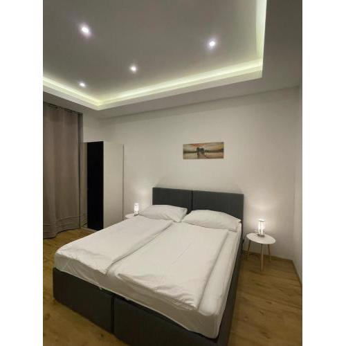 Haydnsuite