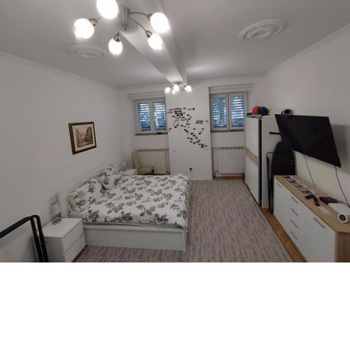 Hedonist room