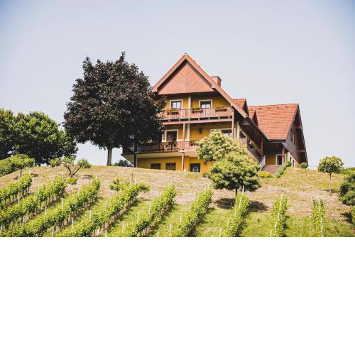 Hohler Appartement Gamlitz