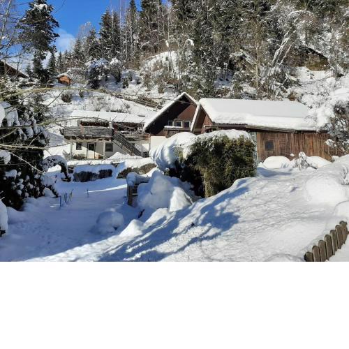 Holiday apartment in Feld am See in Carinthia