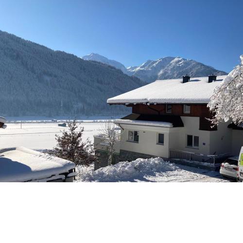 Holiday apartment in Pinzgau