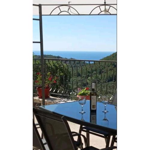 Holiday apartments Maslina Paho