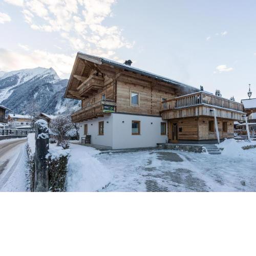 Holiday flat with terrace near Wildkogel