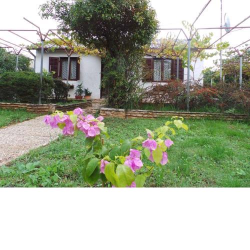 Holiday home in Fazana/Istrien 11242