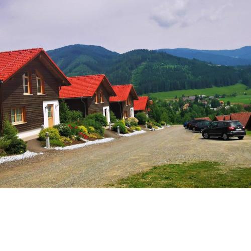 Holiday home in Gaal im Murtal with a terrace