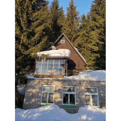 Holiday home in Harrachov 2311