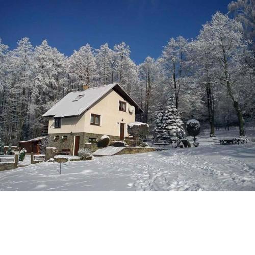 Holiday home in Marianska/Erzgebirge 1664