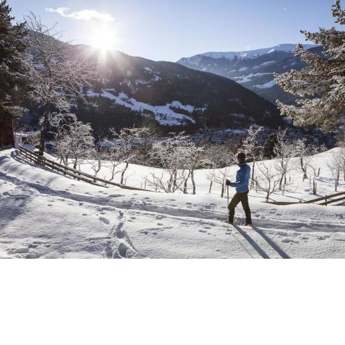 Holiday home in Tyrol near ski area