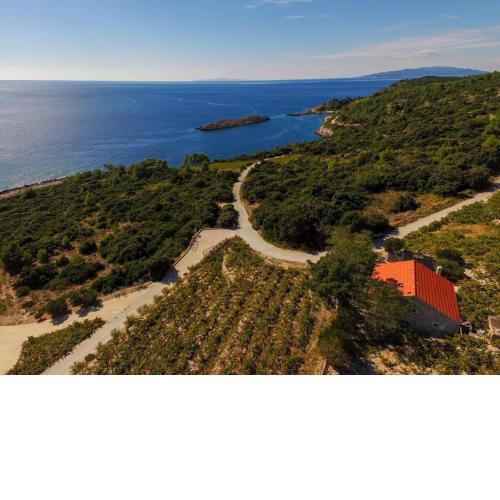 Holiday home in vineyard paradise Dingač Pelješac