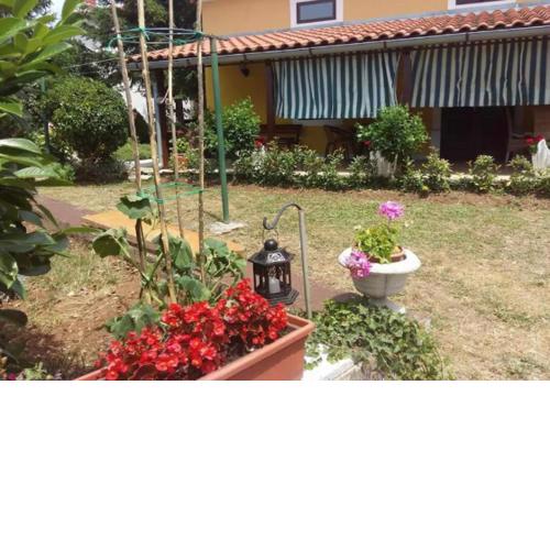 Holiday home Jolanda - garden
