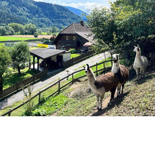Holiday Home Lama by Interhome