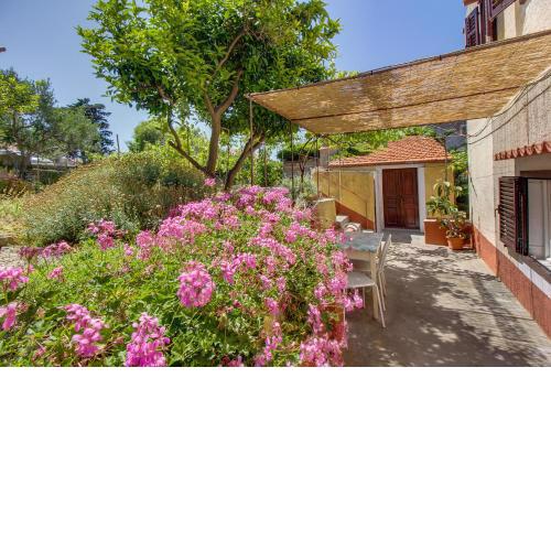 Holiday Home Lina Cipollina