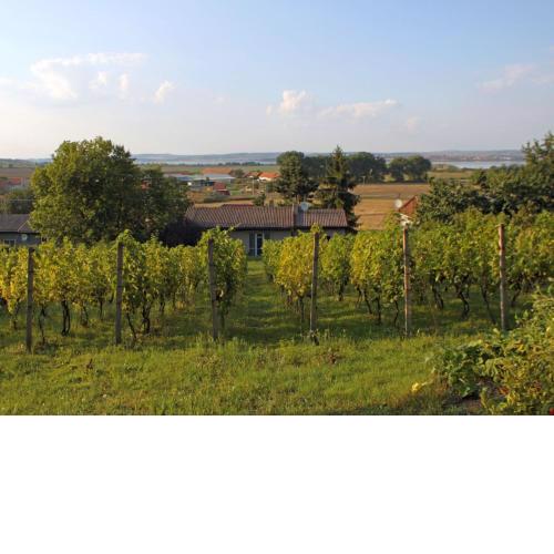 Holiday Home Milovice by Interhome