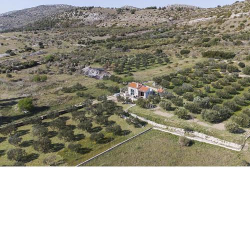 Holiday home Olive