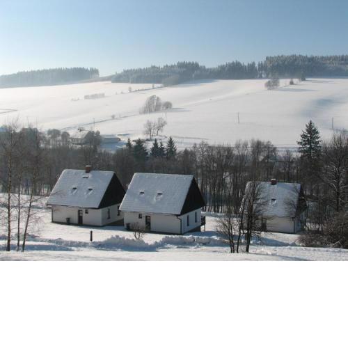 Holiday Home Stárkov by Interhome