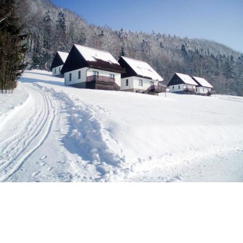 Holiday Home Stárkov by Interhome