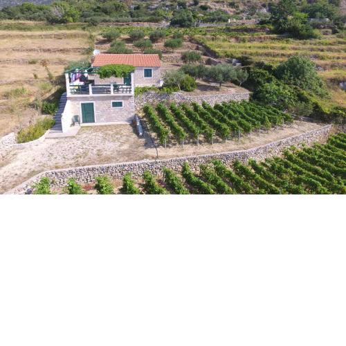 Holiday Home Vineyard house
