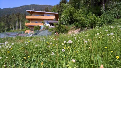 Holiday Home Zillertal - Haus Gigl