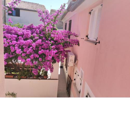 Holiday House Letizia