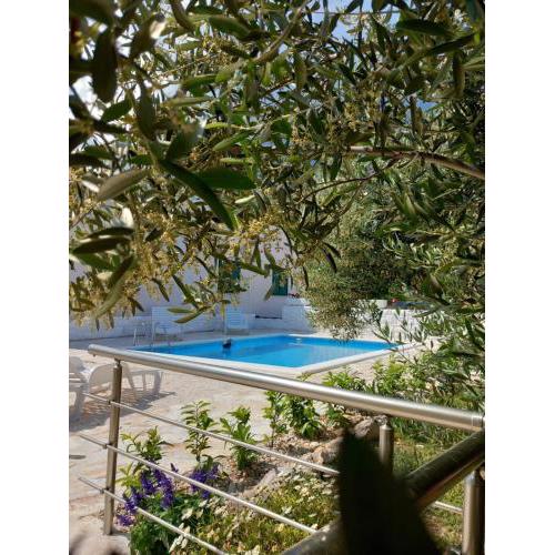 Holiday House M&A&K with swimming pool