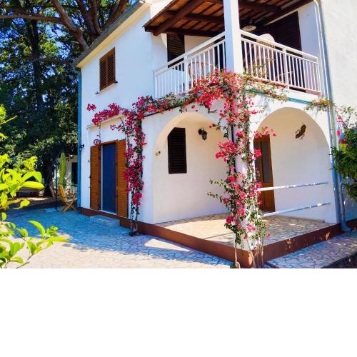 Holiday house Pinus Pinea