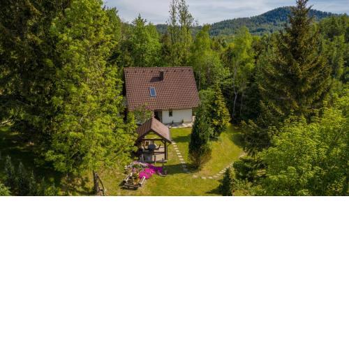 Holiday house with a parking space Lokve, Gorski kotar - 18226