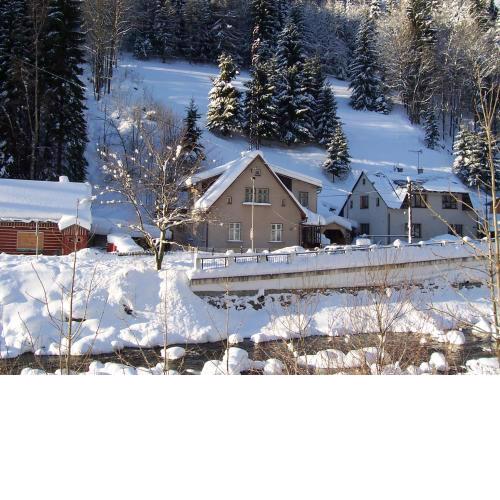 Holiday Villa Herlikovice