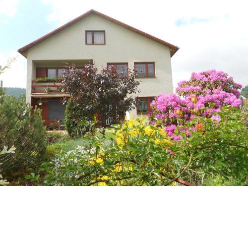 Homestay Machom