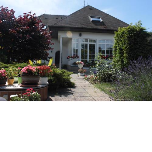 Homestay Svatá