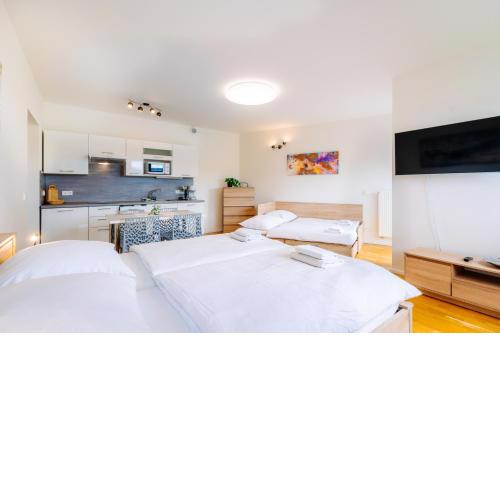Horský apartmán Temari 12 Klínovec