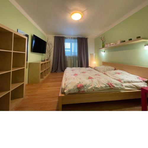 Horský Apartment David
