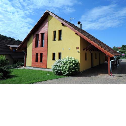 Hortenzie