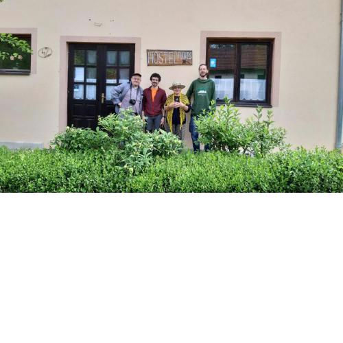 Hostel Flores