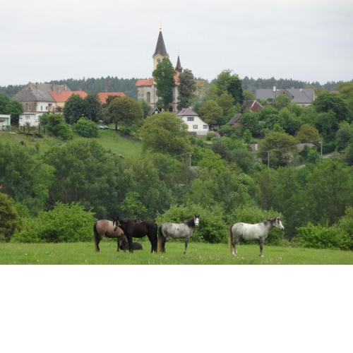 Hostinec u Janatů s ubytováním