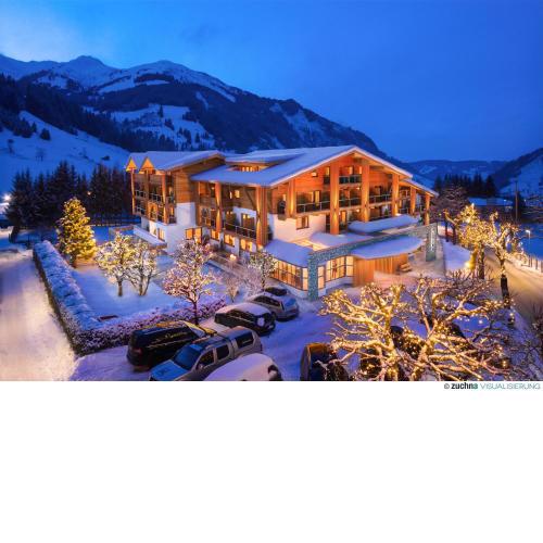 Hotel Alpina