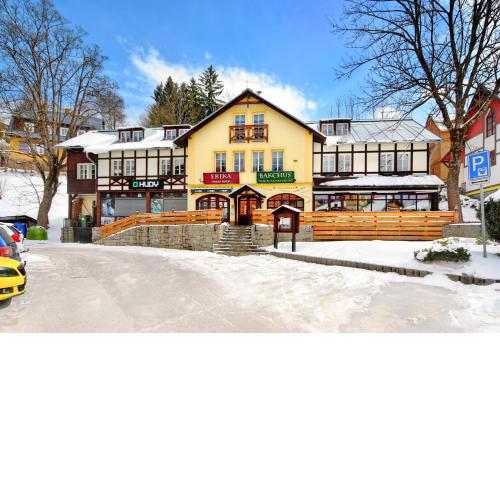 Hotel Erika