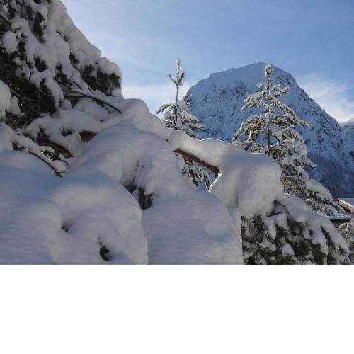 Hotel Garni Tannleger B&B
