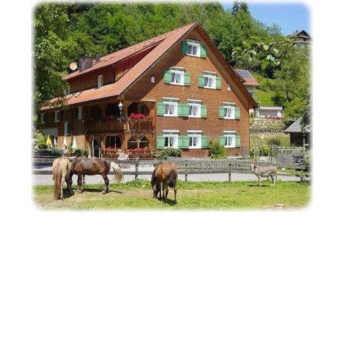 Hotel Gasthaus Schäfle
