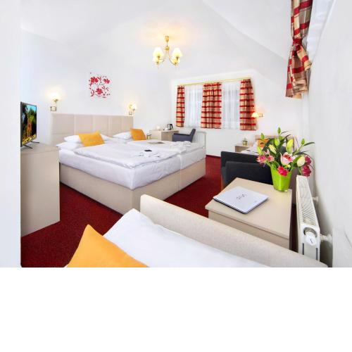 Hotel Hradec