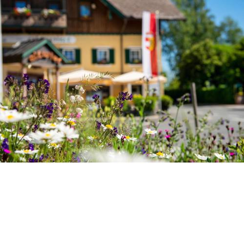 Hotel Landgasthof Altwirt