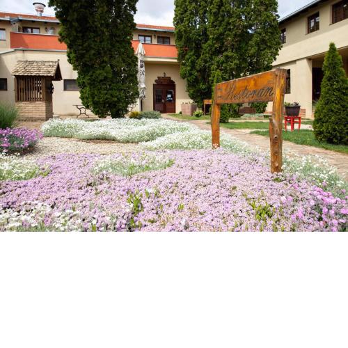 Hotel Lug