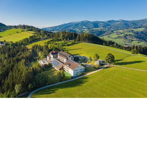 Hotel Moselebauer