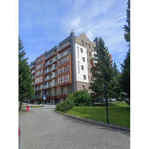 Hotel Ovruč apartmány Vadian
