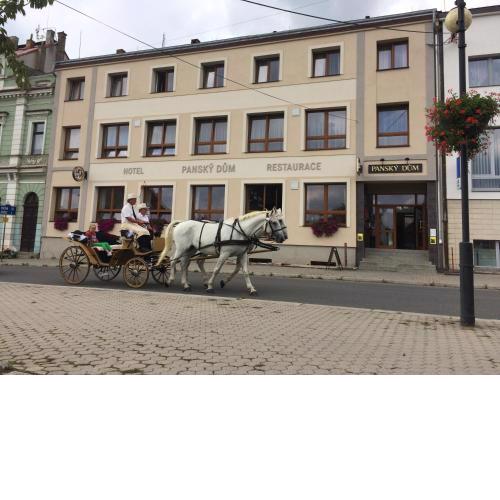 Hotel Panský dům