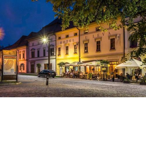 Hotel U Leva