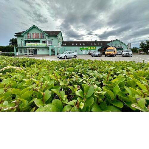 HOTEL ZELENÝ DVOR