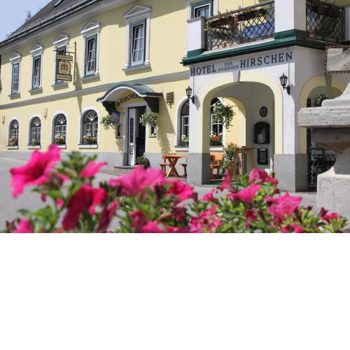Hotel zum goldenen Hirschen