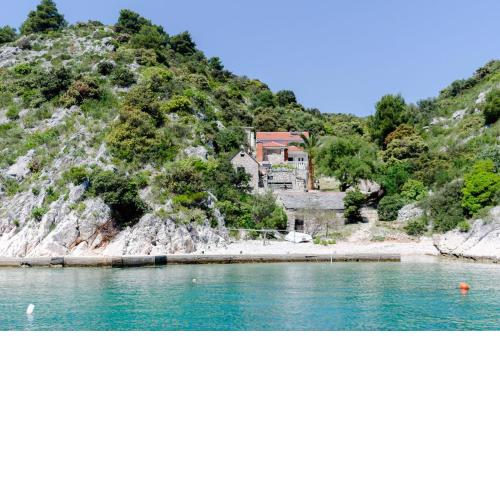 House Ancica